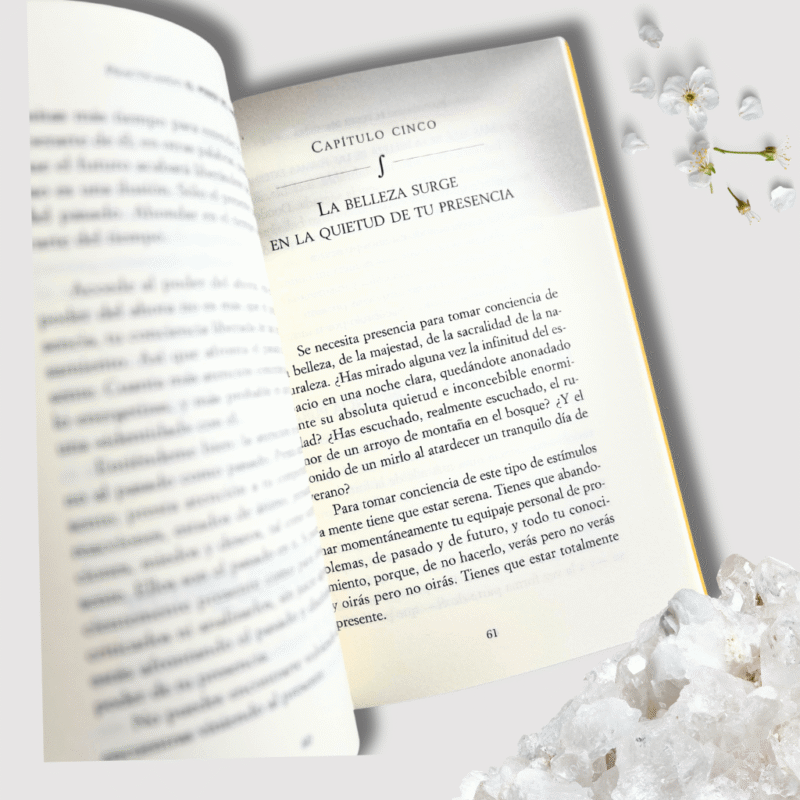 Libro Practicando el Poder del Ahora - Imagen 2