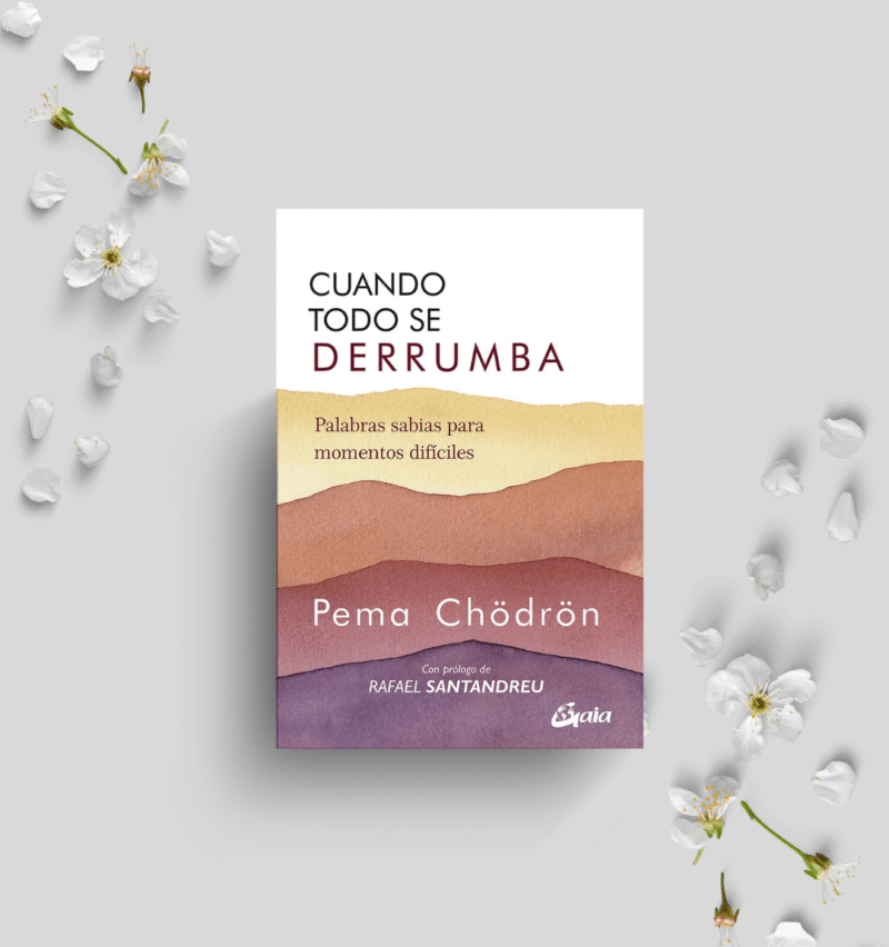 Libro Cuando todo se derrumba