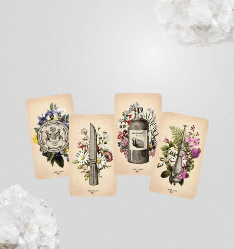 Tarot de Anatomía y Botánica Antiguas + libro + cartas - Imagen 2