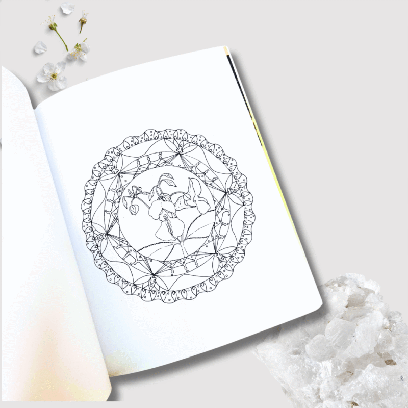 Libro Método Alquimia, mandalas de las flores de Bach los Doce Curadores - Imagen 3