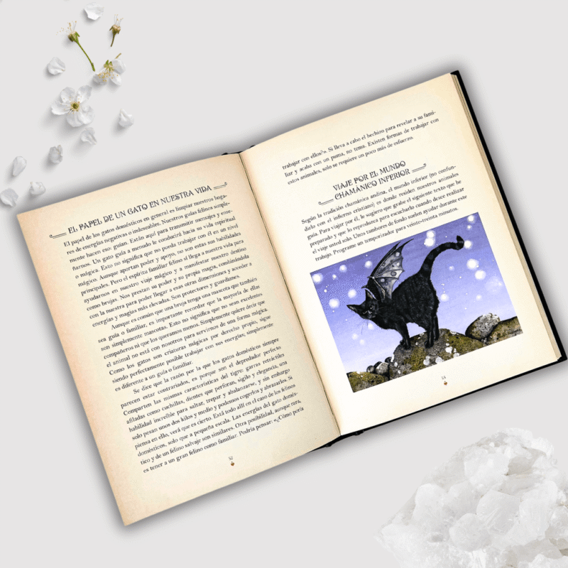 Libro la magia de los gatos - Imagen 3