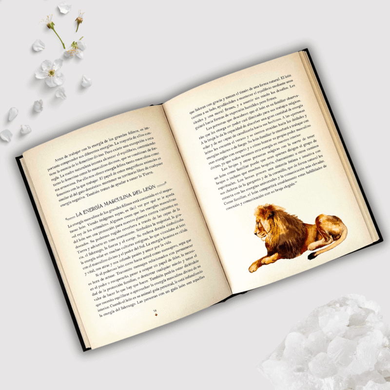 Libro la magia de los gatos - Imagen 4