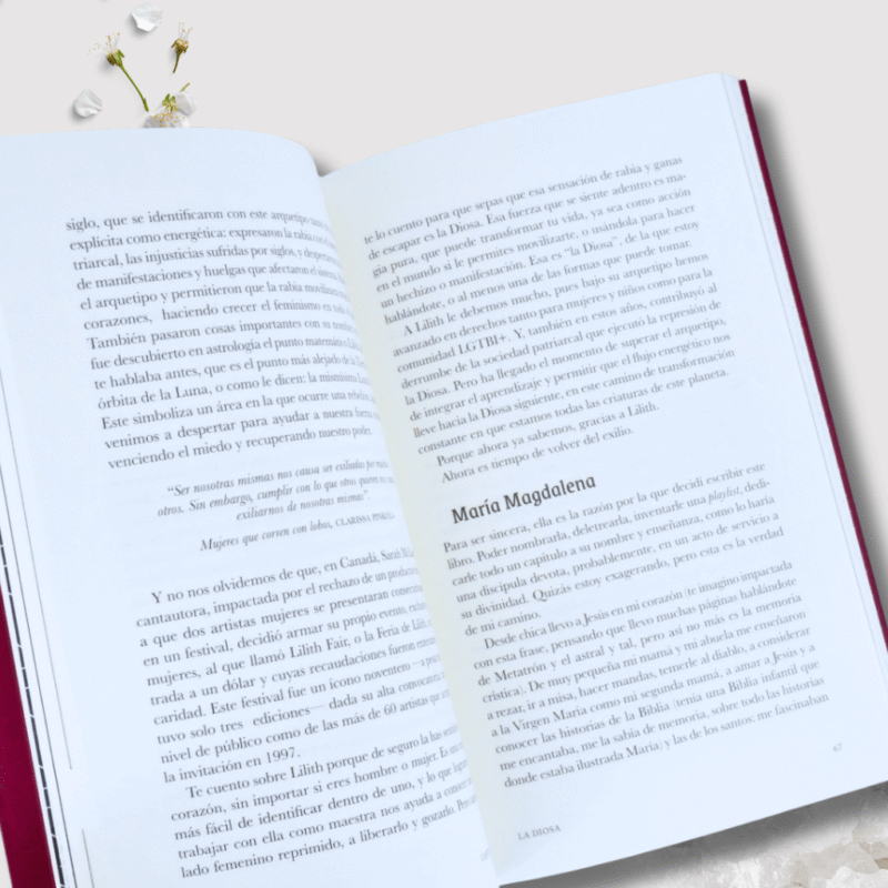 Libro Magia de Sangre - Imagen 3