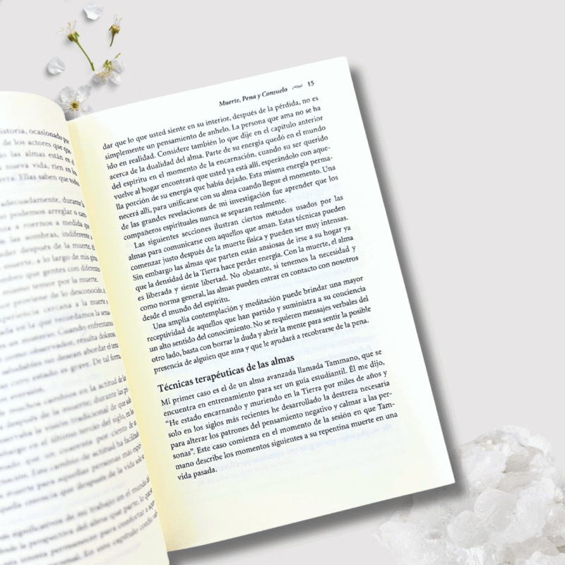 Libro El destino de las almas - Imagen 3