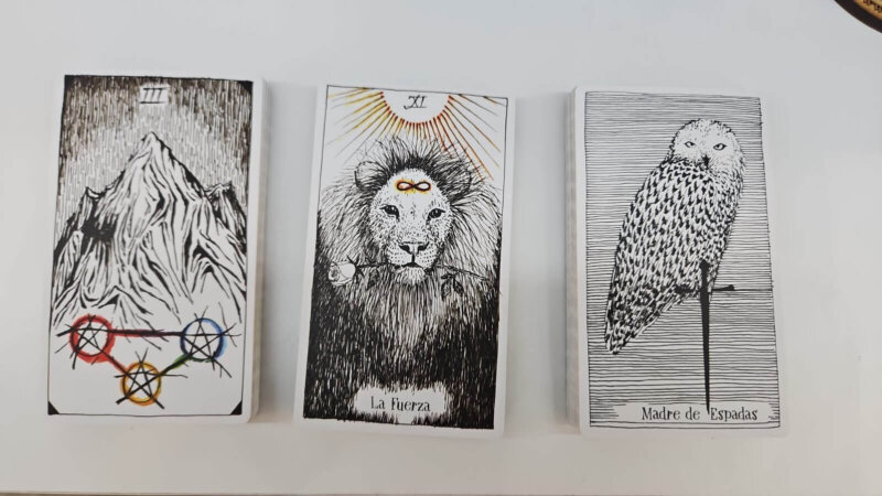 Tarot La Naturaleza Misteriosa (Libro y cartas) - Imagen 2