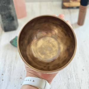 Diseño sin título (13)