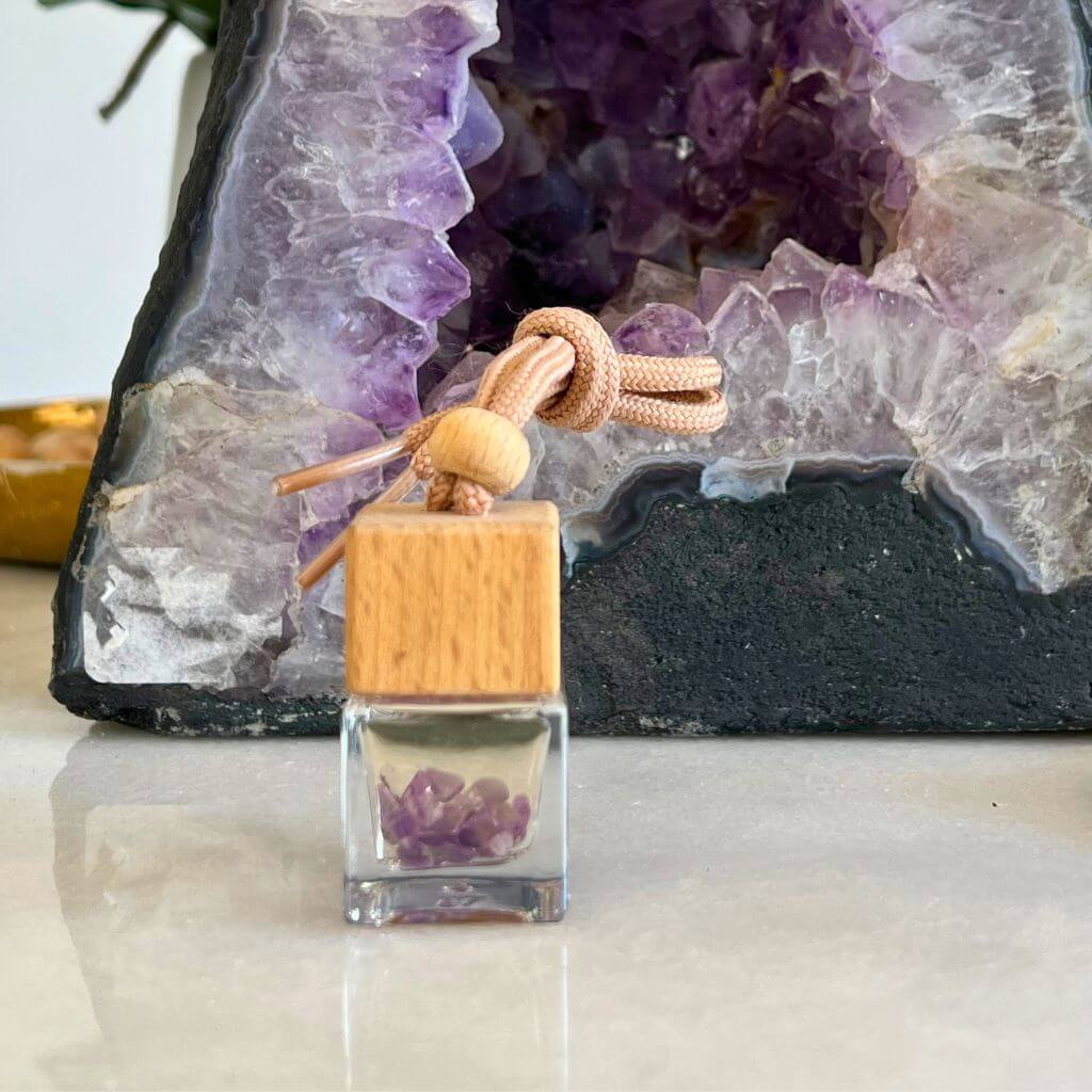 Aromatizador de Auto - Limpieza y Protección - Imagen 2