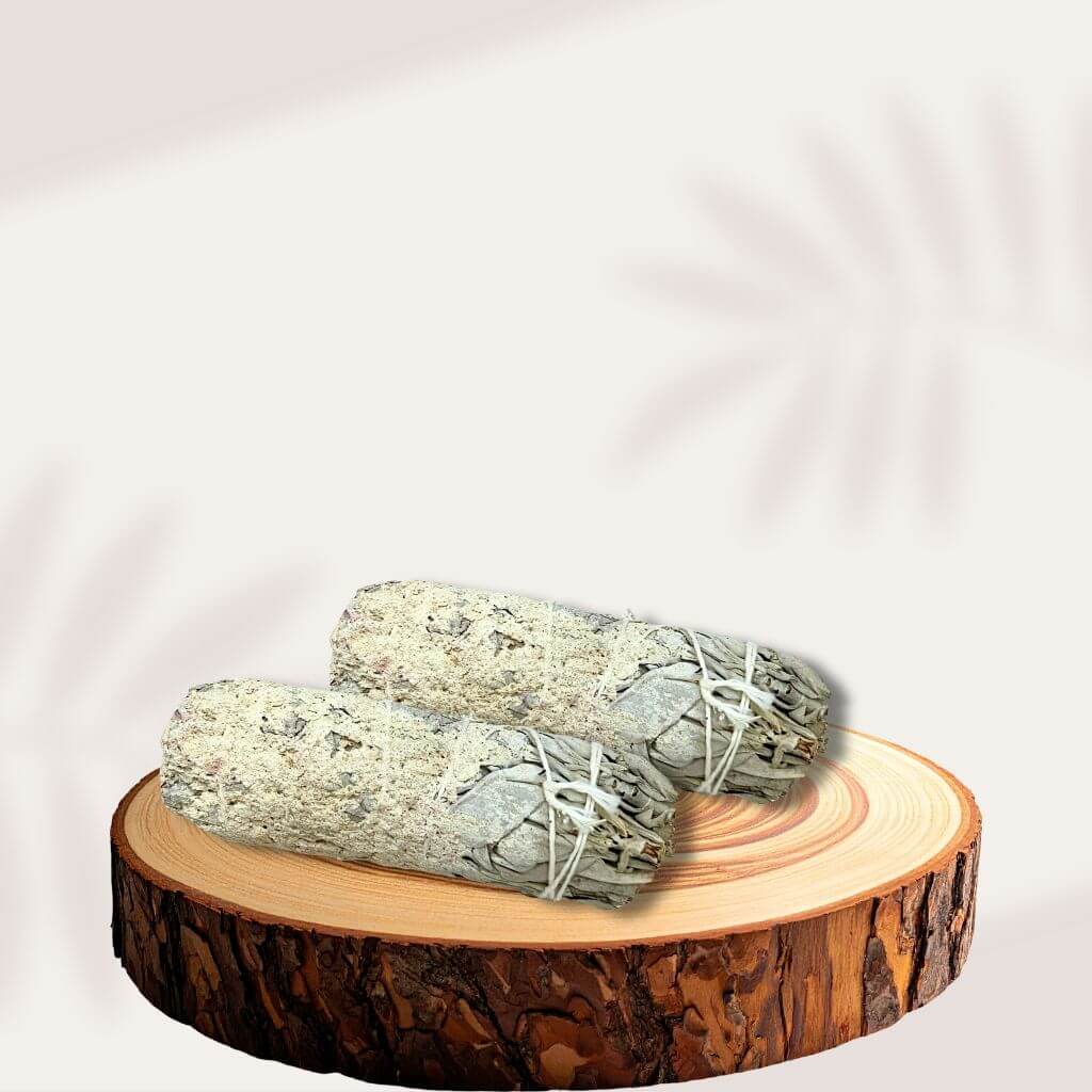 Salvia Blanca nativa americana con dip de COPAL